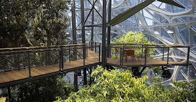 SHEN Experts: Current Trends in Space Gardening