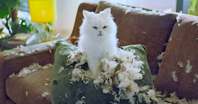 Краща реклама тижня: Фора, Samsung Україна, Dior і занадто товстий Санта