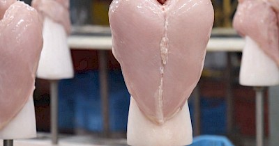 Кредит у мільярд гривень для бренду Куріяр: як компанія будує нову стратегію -  інтегровану модель ринку курятини