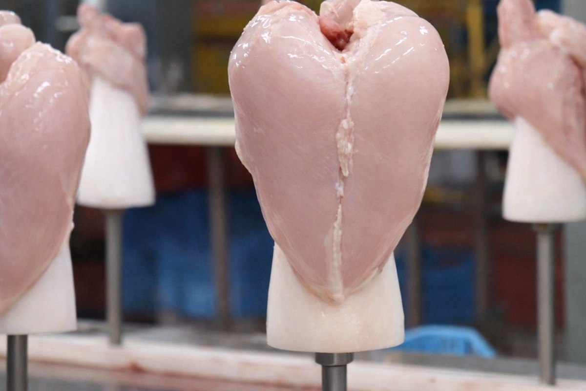 Кредит у мільярд гривень для бренду Куріяр: як компанія будує нову стратегію -  інтегровану модель ринку курятини