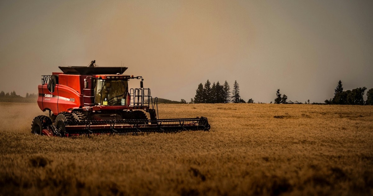 Економіка полів: оренда техніки як стратегія для агробізнесу